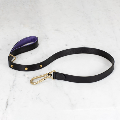 DOG COLLAR & LEASH / BLACK / PURPLE / BRASS