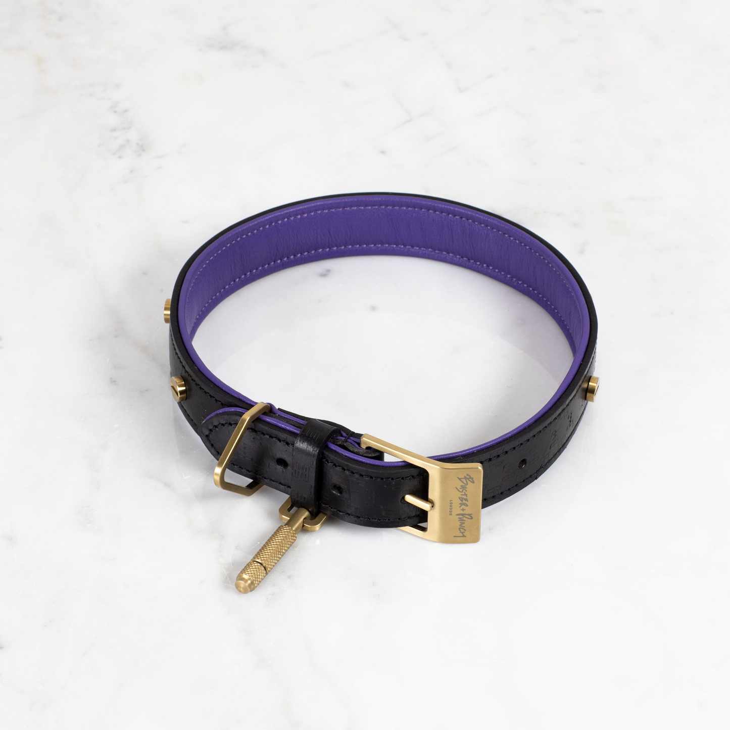 DOG COLLAR & LEASH / BLACK / PURPLE / BRASS