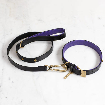 DOG COLLAR & LEASH / BLACK / PURPLE / BRASS