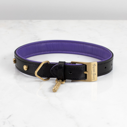 DOG COLLAR & LEASH / BLACK / PURPLE / BRASS